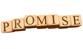 ProMaTo Promise